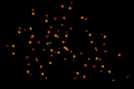 飘落花瓣鲜花漂浮元素元素图片 