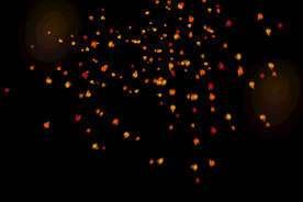 飘落花瓣鲜花漂浮元素元素图片