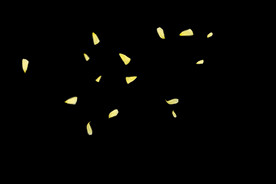 飘落黄花瓣鲜花漂浮元素元素图片