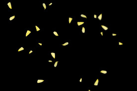 飘落黄花瓣鲜花漂浮元素元素图片