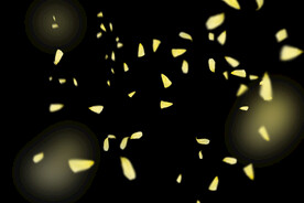 飘落黄花瓣鲜花漂浮元素元素图片