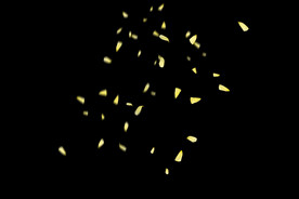 飘落花瓣鲜花漂浮元素元素图片