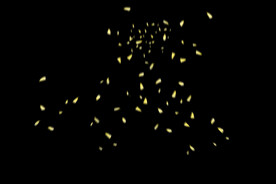 飘落花瓣鲜花漂浮元素元素图片