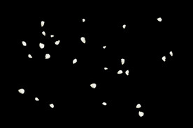 飘落花瓣鲜花漂浮元素元素图片