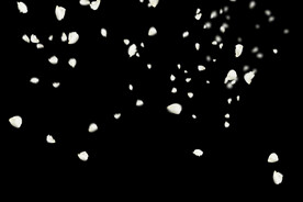 飘落花瓣鲜花漂浮元素图片 