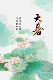 24节气荷花大暑质感