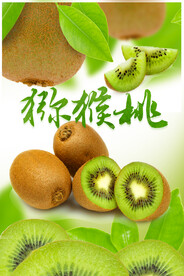 猕猴桃 海报