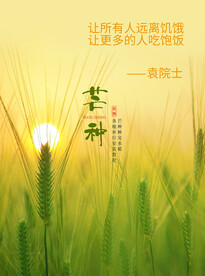 节气金句稻谷实景风景海报