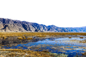 喀什金草滩湿地