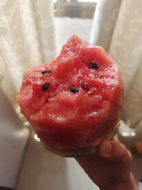 西瓜