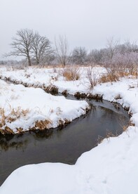 雪景和河流