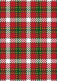 圣诞节色系红白绿格子布