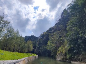 蓝天白云树林小溪河流