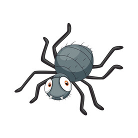 蜘蛛