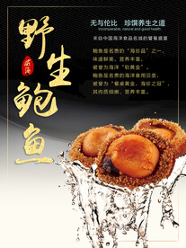 野生鲍鱼