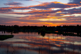 倒映晚霞红胜火