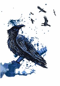 酷炫画风 乌鸦