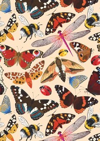 昆虫系 蜻蜓 飞蛾 蝴蝶 七星