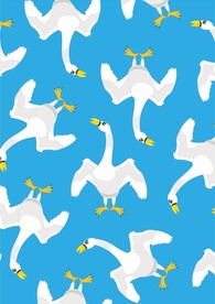 蓝色底 白天鹅 巨鸟