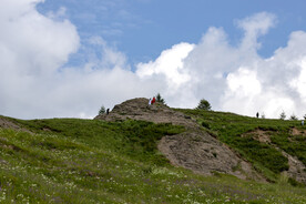 高山草甸的游客