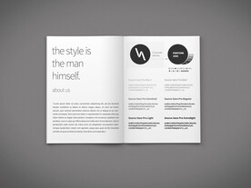 精品智能样机 一键logo贴图