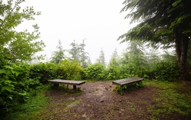 树林中的休息凳