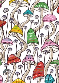 迷幻蘑菇 多彩缤纷