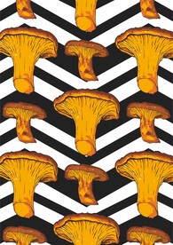 蘑菇香菇 几何图形