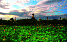 武威市凉州区白塔寺荷塘