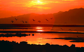 青土湖生态旅游区