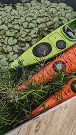 荷塘里的皮划艇