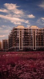 大厦建筑和花草