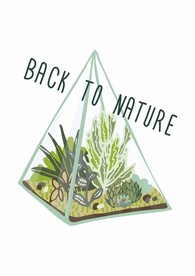 温室植物 透明玻璃