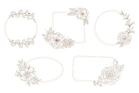 矢量手绘花卉植物边框