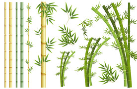 竹矢量