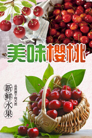 美味樱桃 海报