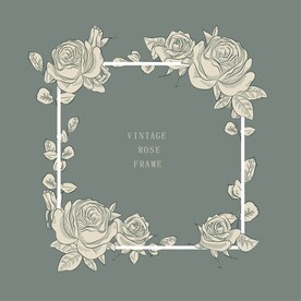 手绘玫瑰花矢量花框