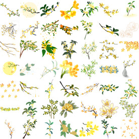 50张桂花png