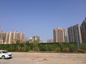 大亚湾红树林公园