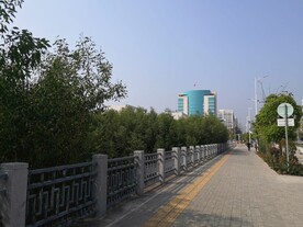 大亚湾红树林公园