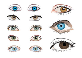 眼睛素材