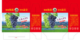 葡萄箱  葡萄礼盒
