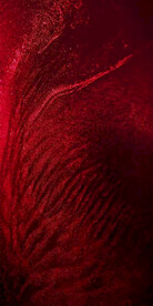 质感 红色底纹 纹理 画面 海