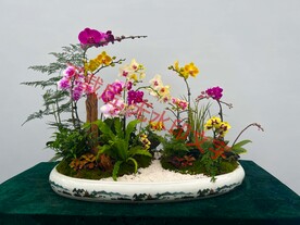 花卉盆栽组合
