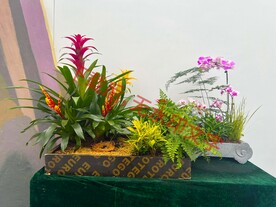 花卉盆栽组合