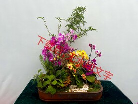 花卉盆栽组合