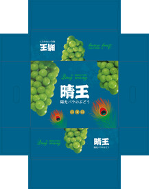 晴王葡萄包装