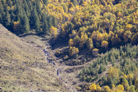 深山赏秋的人们