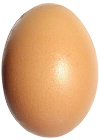 鸡蛋