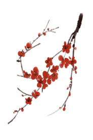 水墨梅花